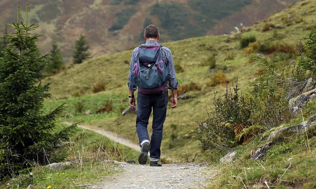 Seasonal Countryside Walks: What to Look For Month by Month